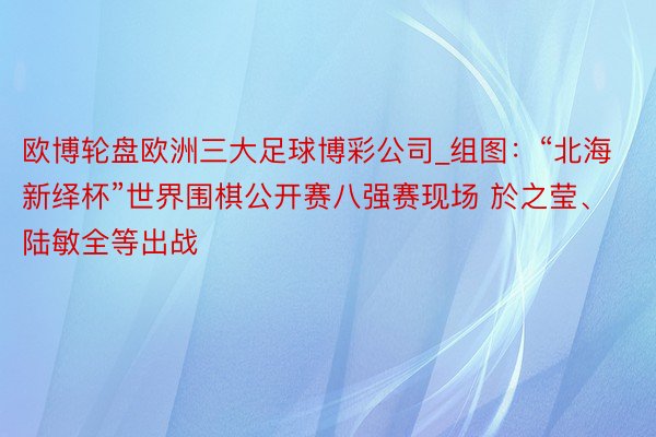 欧博轮盘欧洲三大足球博彩公司_组图：“北海新绎杯”世界围棋公开赛八强赛现场 於之莹、陆敏全等出战